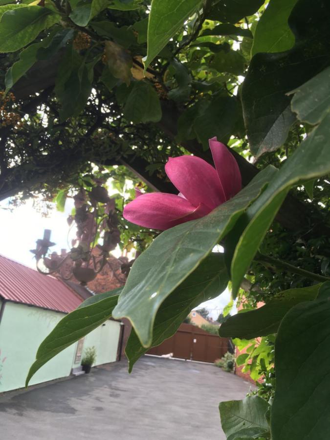 The Hawthornes Licensed Guest House 诺廷利 外观 照片